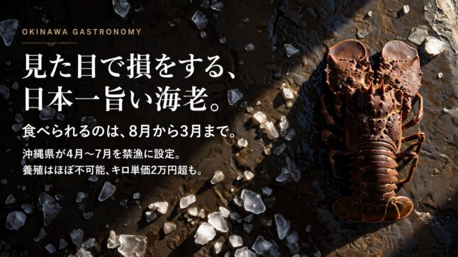 セミエビ｜沖縄で食べられる時期と相場