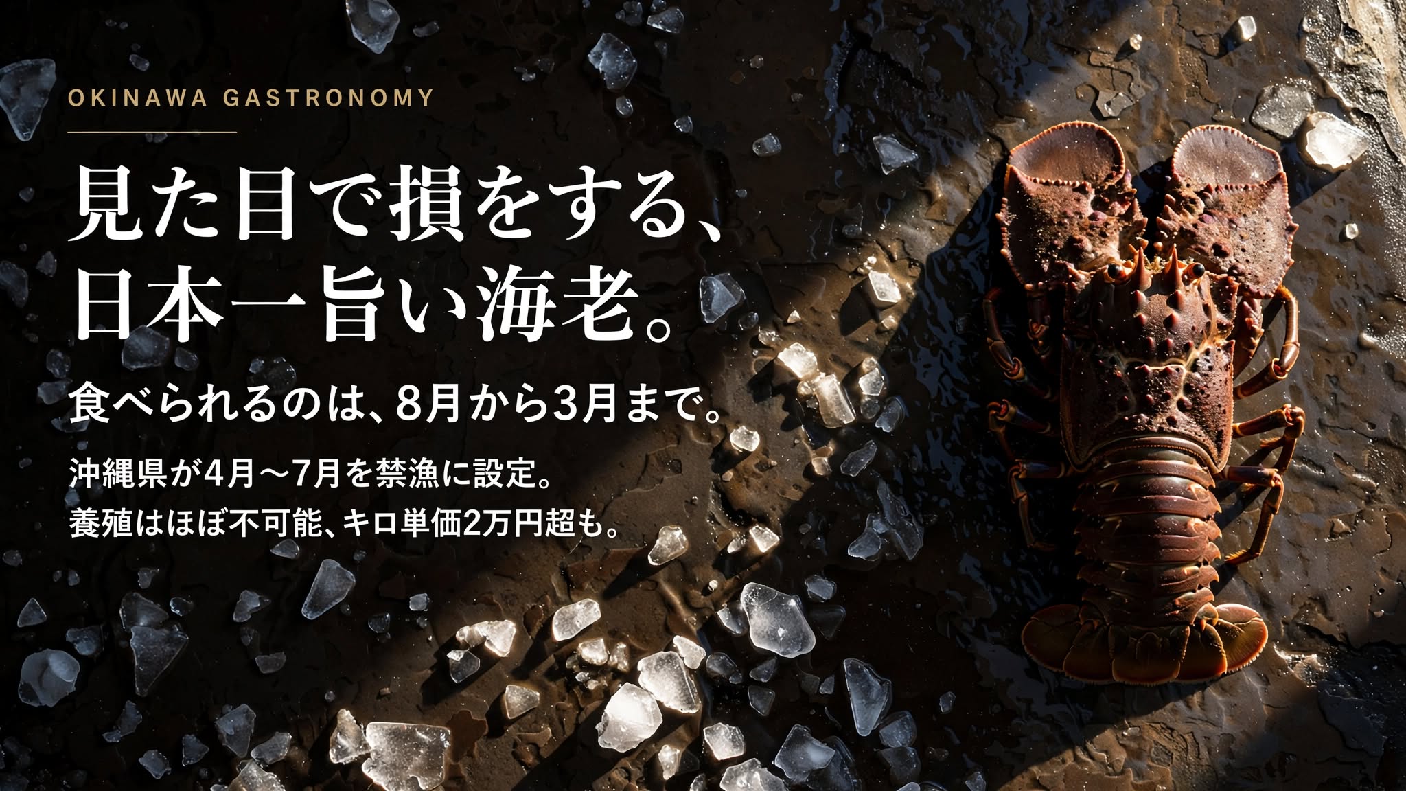 セミエビ｜沖縄で食べられる時期と相場