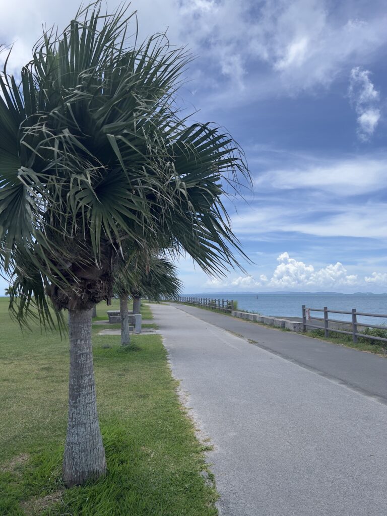 豊崎海浜公園 美らSUNビーチ