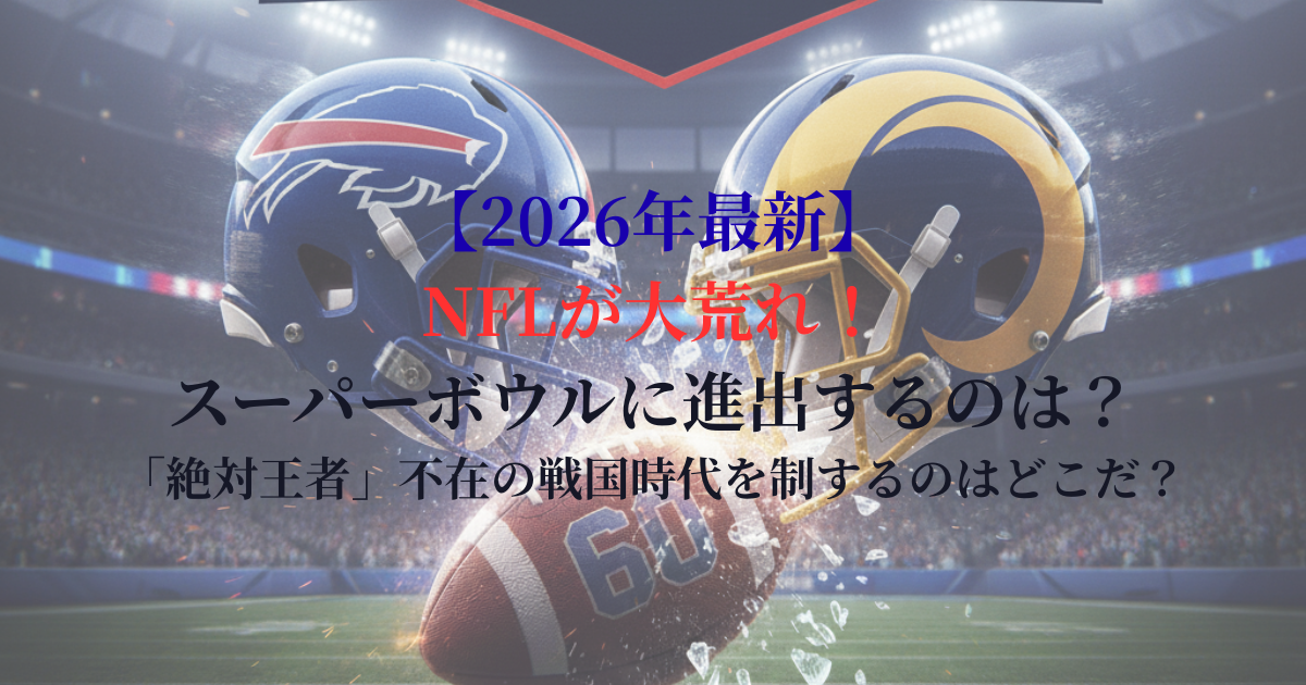 NFLのスーパーボウルに向けての戦いの画像