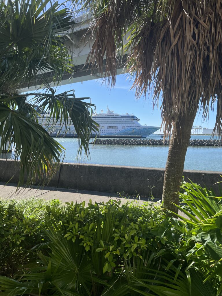 豪華客船が近くで眺められます。