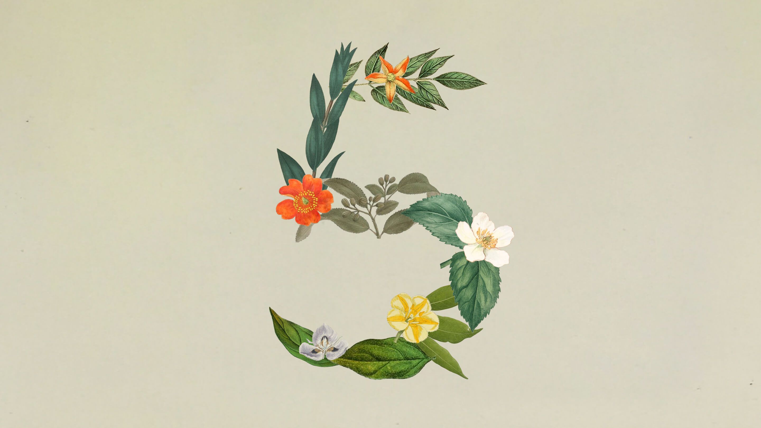 Claude Sonnet 5爆誕。コスパ最強の”働き者AI”、その裏でAnthropicに起きていたこと